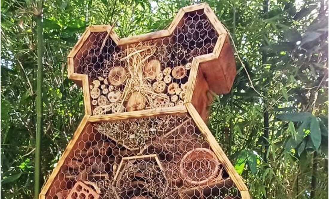 Las structuras tienen diseños representativos de ejemplares de la fauna silvestre como axolotes, teporingos, elefante, jirafas, oso panda y leones, entre otras siluetas. Foto: Especial