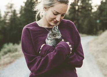 Conoce el santuario flotante para gatos
