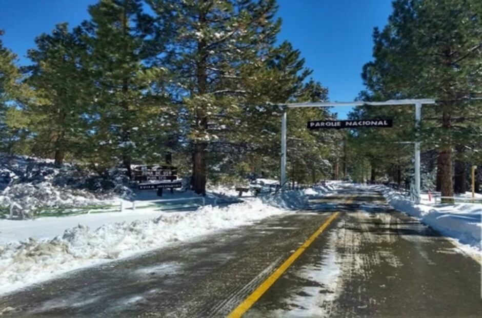 San Pedro Mártir, el mejor lugar en México para ver las estrellas
