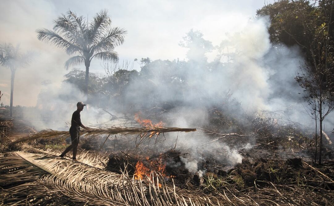 Incendio en la Amazonía. Foto: El Universal - Brenno Carvalho / Agência O Globo