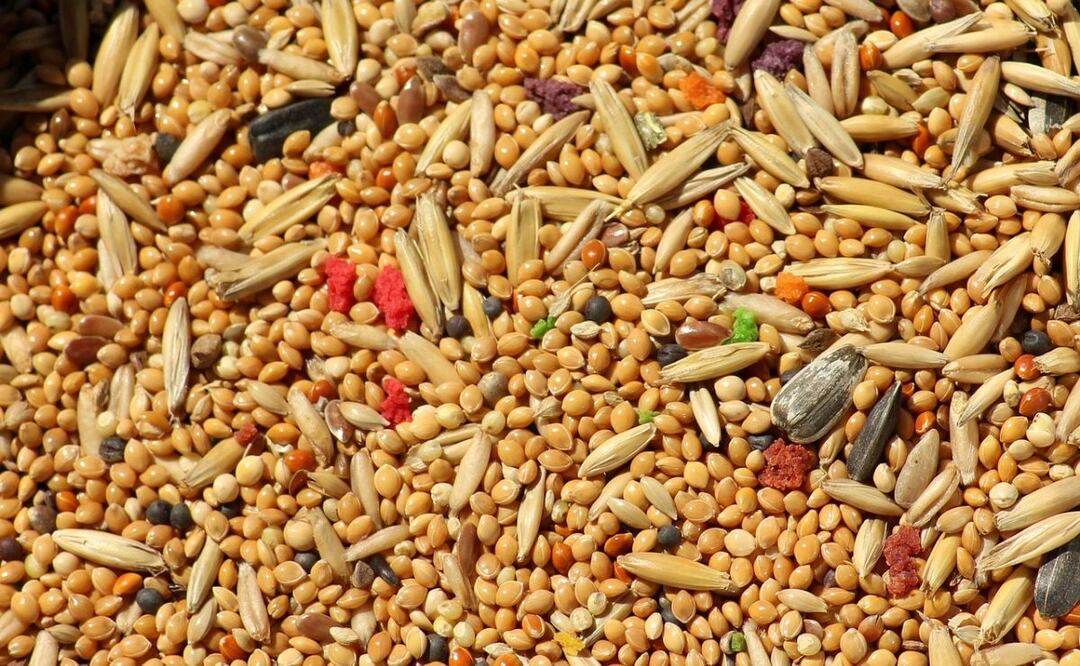 Alimentación y salud. Fuente: Pixabay