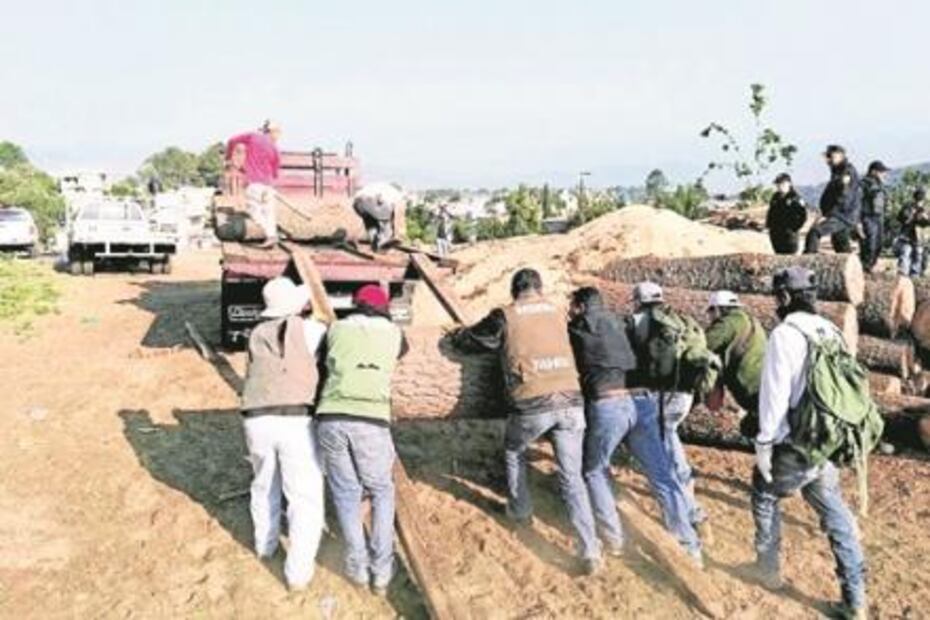 Fracasa Gendarmería ambiental: expertos