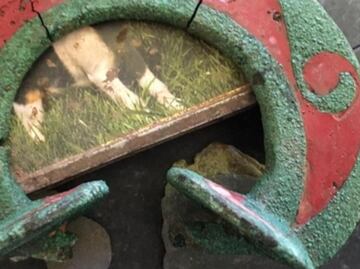 Descubren antiguo y exclusivo cementerio Celta