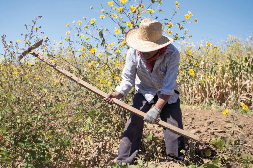 Urge intervención. El delegado de la Confederación Nacional Campesina (CNC) consideró urgente que su organización asuma un papel que dignifique el sector. 
