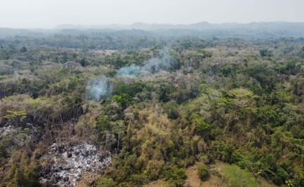 Suman en Veracruz nueve incendios forestales activos en medio de temperaturas sofocantes