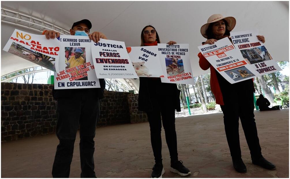 Foto: Jorge Alvarado / EL UNIVERSAL