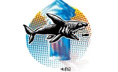 Quieren tiburones, no pececitos