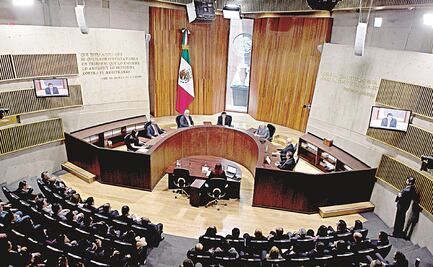 TEPJF reconoce derecho a auto-organización de partidos