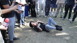 Convocan a reunión de "therians" y sólo acude un "french poodle"; "cuando nadie me ve me como las croquetas del plato de los gatos"