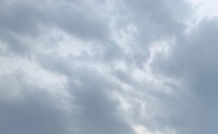 Cinco autos varados y 6 árboles caídos, saldo tras lluvias en CDMX