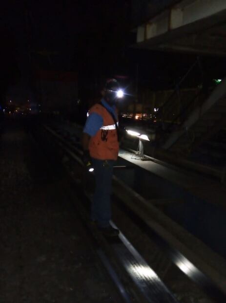 Personal del Metro CDMX rescata a can extraviado en vías de la línea B