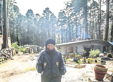 En alerta roja, 6 delegaciones por bajas temperaturas