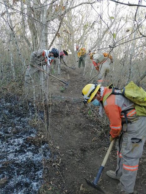 Brigadas combaten incendio en la reserva natural del Cerro Mactumatzá de Tuxtla Gutiérrez