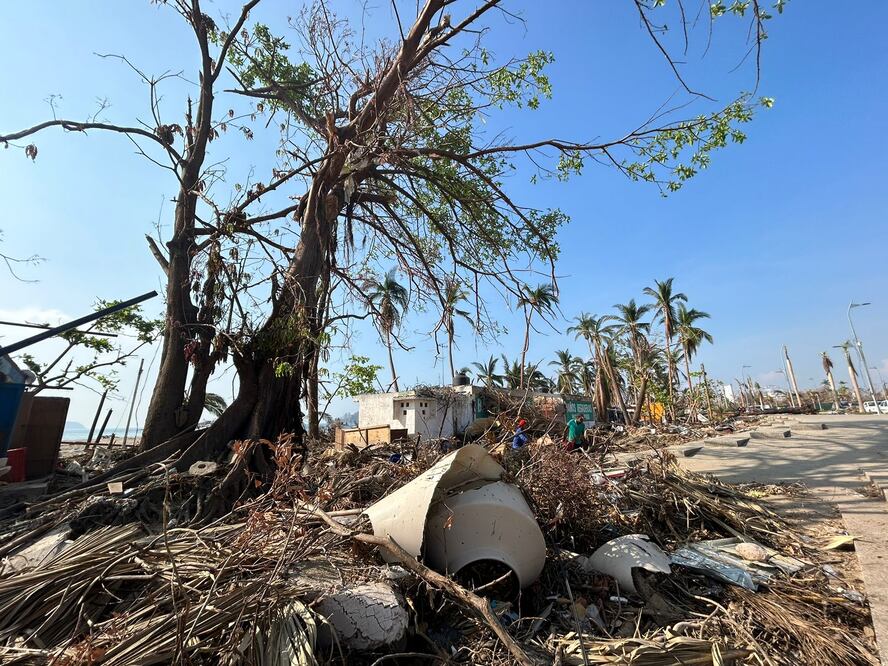 Acapulqueños sufren ahora ola de calor por devastación de árboles. Foto: Iván Montaño / EL UNIVERSAL