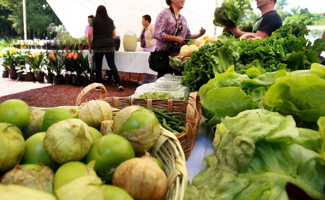 Algunos contaminantes entran o tienen contacto con el organismo humano a través de los alimentos. (FOTO:EL UNIVERSAL) 
