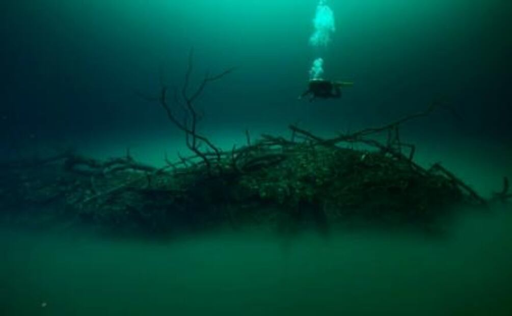 Cenote Angelita: el misterioso río subterráneo de Tulum 