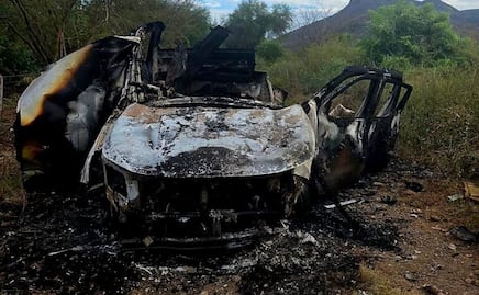 Productor de limón muere por explosivo en Apatzingán, Michoacán; dejan cabeza humana en plaza