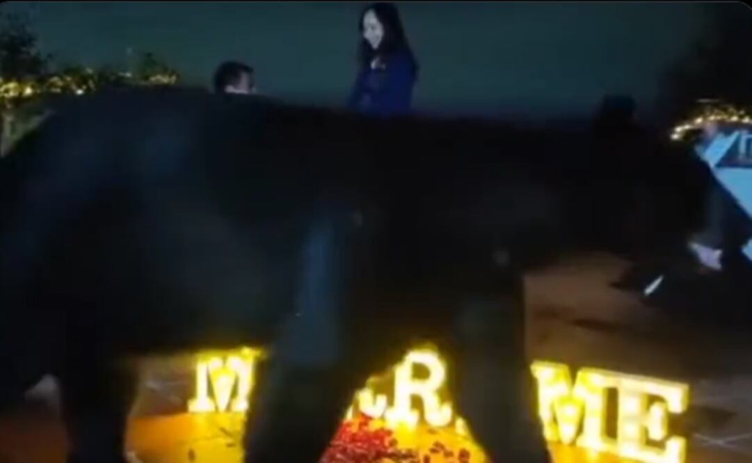 Foto: Tomada del video