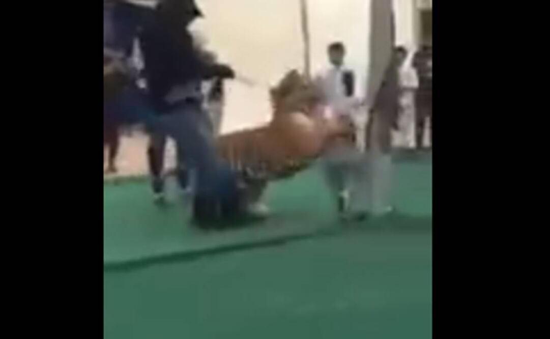 El video, difundido en YouTube, muestra el momento en que el domador lleva al tigre con una cadena al cuello y lo muestra a los pequeños que se encuentran en el mercado (FOTO: TOMADA DE VIDEO)