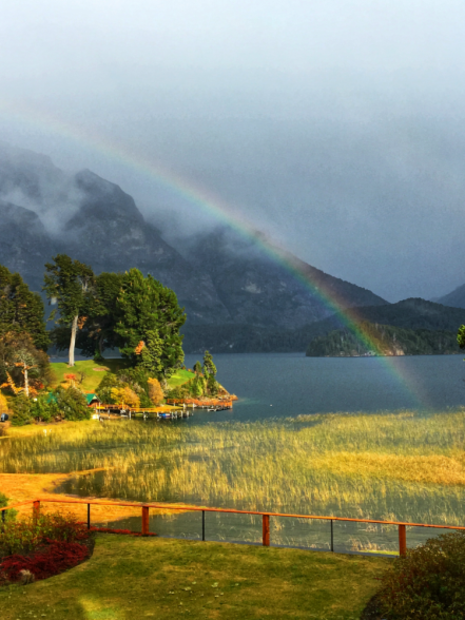 Árboles gigantes, glaciares y otras razones para viajar a Bariloche