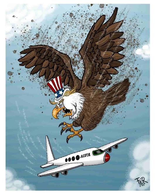 Cartón de FER