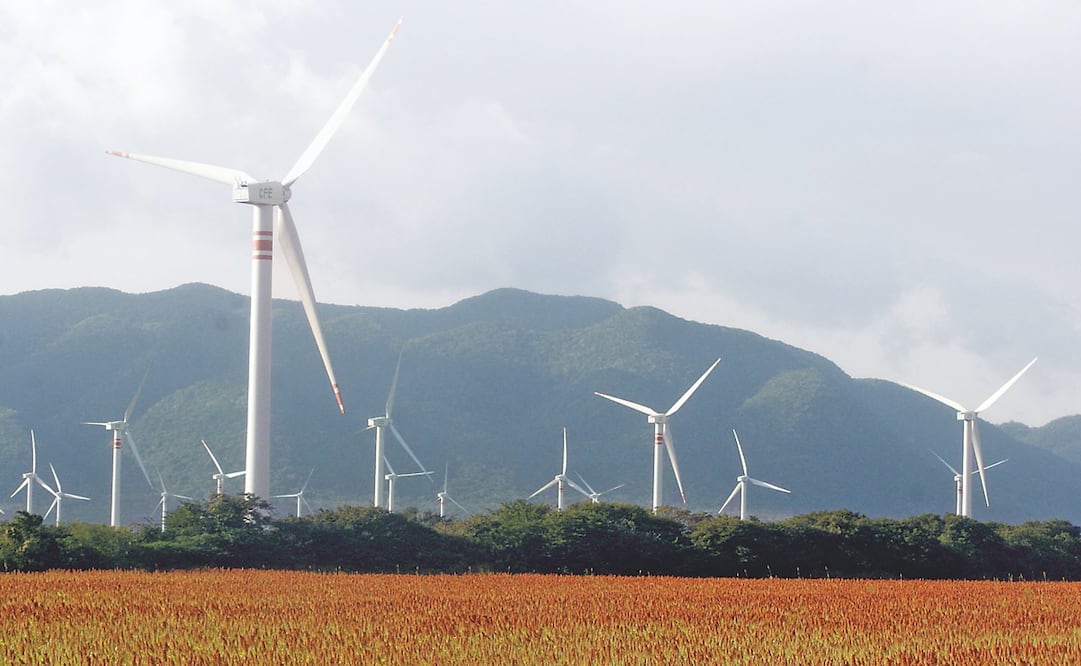 Foto: Archivo. EL UNIVERSAL