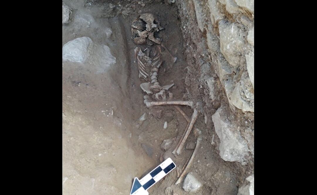 Foto: EFE/David Pickel/Universidad de Stanford