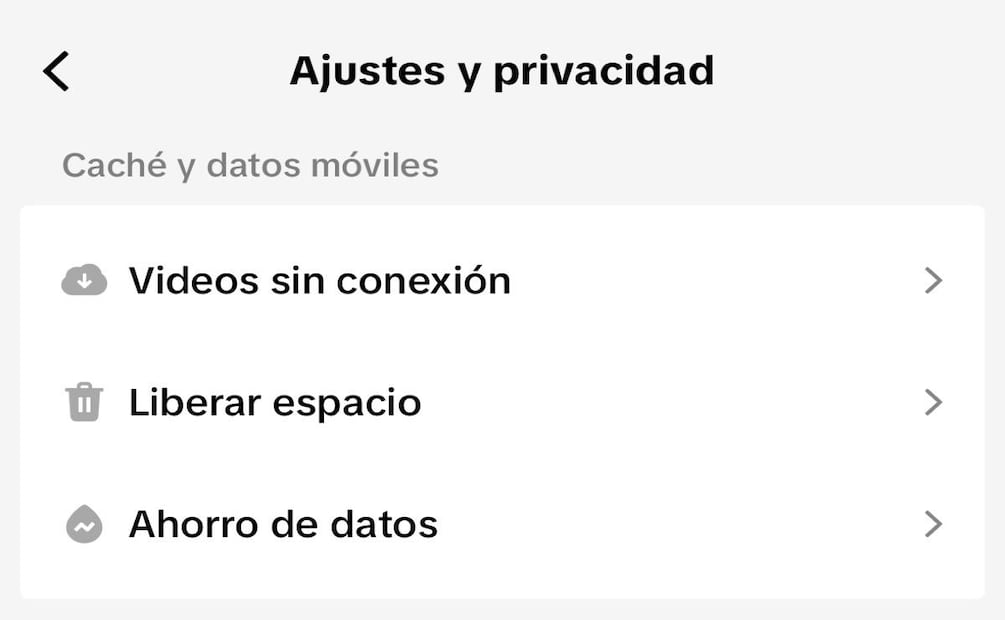 TikTok almacena archivos temporales como el contenido consumido y los likes. Foto: Captura de pantalla