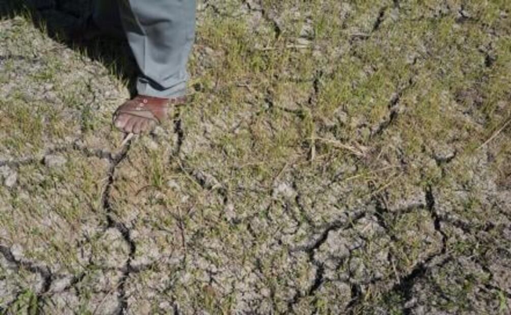 Después del temblor, Jojutla se levanta a través del arroz