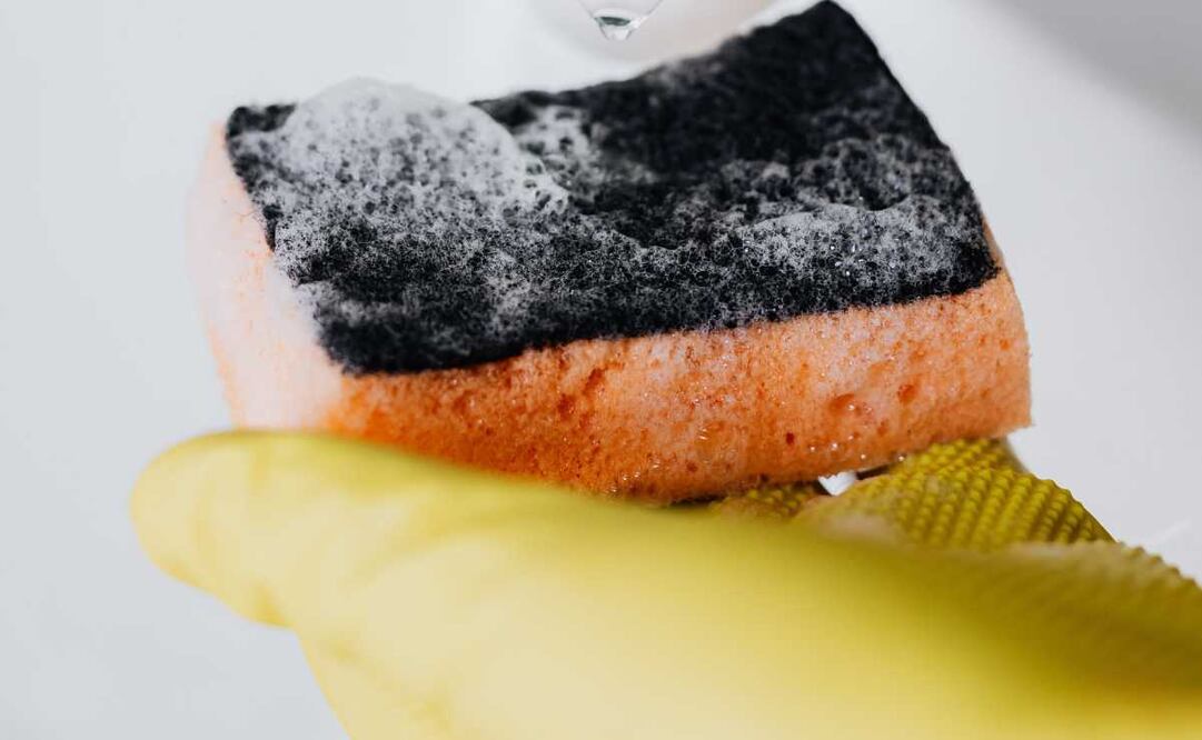 Las esponjas pueden almacenar bacterias. Imagen: Pexles