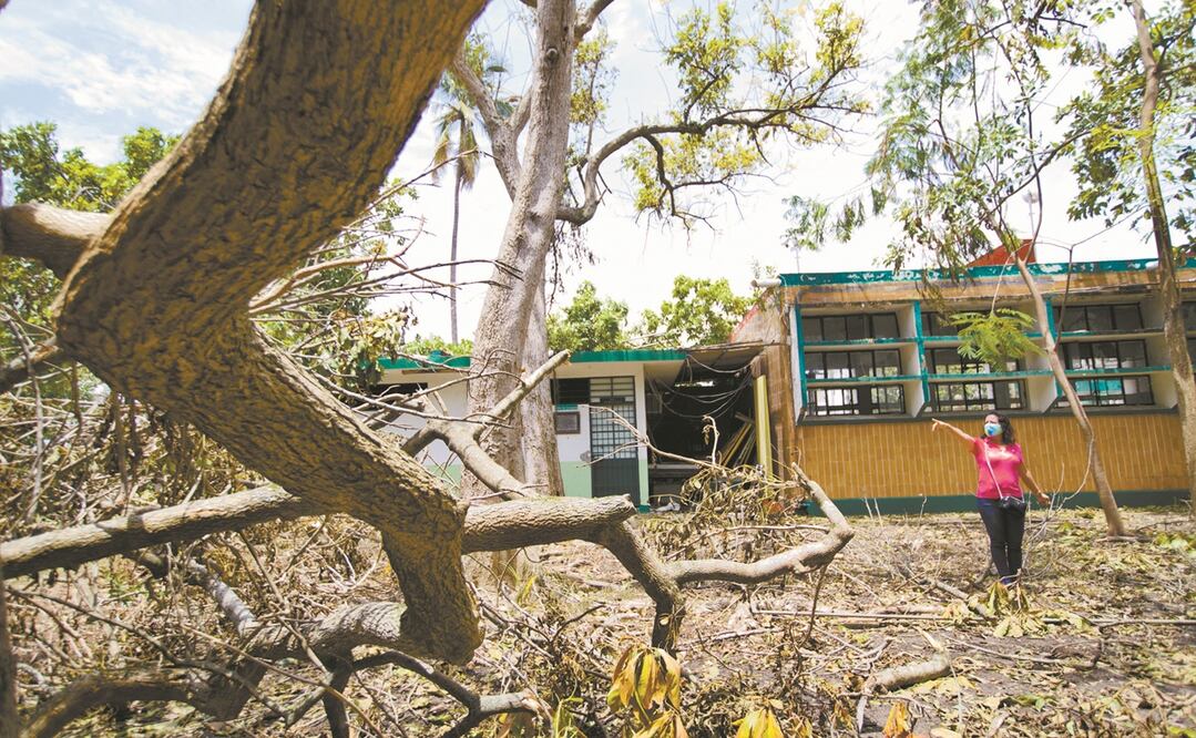 La escuela primaria María Enriqueta, de Poza Rica, se vio afectada por la caída de varios árboles. Foto: GERMÁN ESPINOZA. EL UNIVERSAL