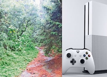 A cambio de un Xbox, hombre revela dónde enterró a su esposa en EU