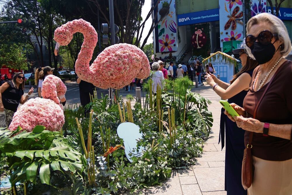 Se espera una afluencia de al menos 170 mil personas durante los cuatro días del Festival Flores y Jardines. Foto: Victoria Valtierra | Cuartoscuro