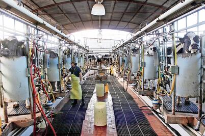 Lecheros piden apoyo para ser más competitivos