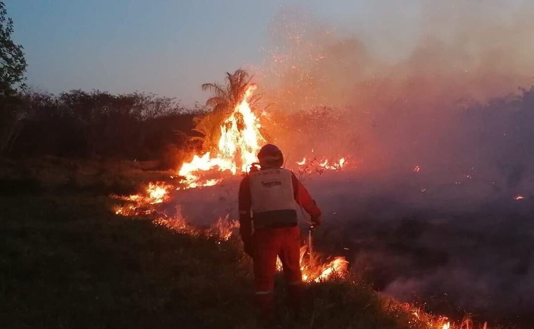 La Secretaría de Marina, a través de la Décima Tercera Zona Naval, desplegó un operativo con una aeronave de la Armada de México para colaborar en el combate de un incendio forestal en la Reserva Estatal de Dzilam de Bravo. Foto: Especial.