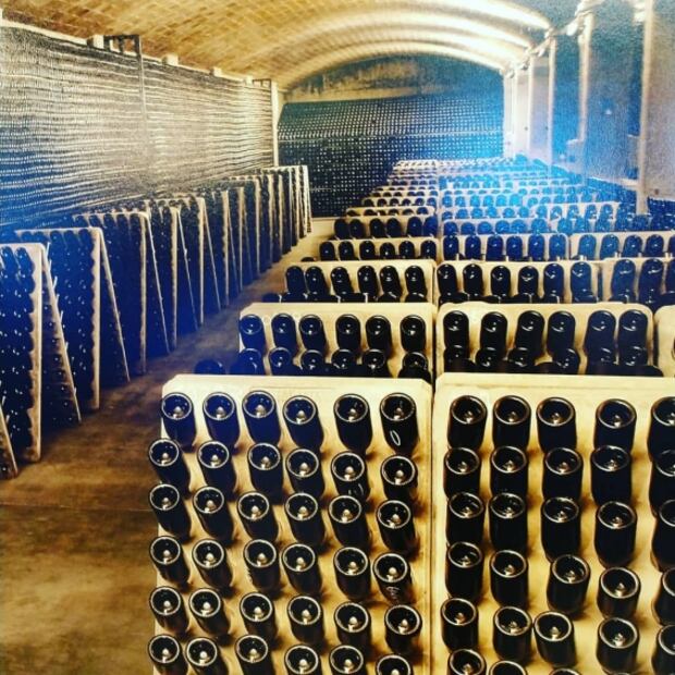 Descubre los mejores viñedos españoles en un tour virtual