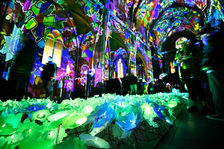 Foto: GLOW Eindhoven