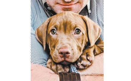 Apego fuera de lo común