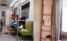 ¿Ratatouille eres tú? Captan a enorme rata en vagón del metro de la CDMX; higiene preocupa a usuarios
