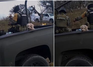 VIDEO: Sedena rescata a perrito de un incendio y es adoptado por militares