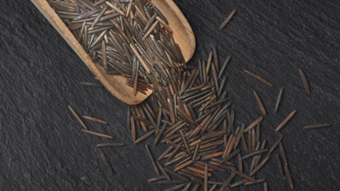 Conoce los 50 alimentos del futuro