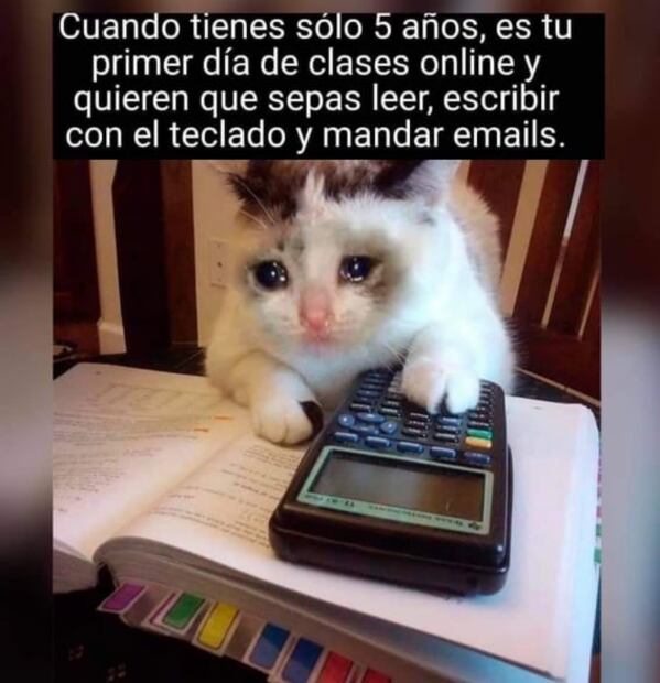 A una semana del regreso a clases, estos son los mejores memes