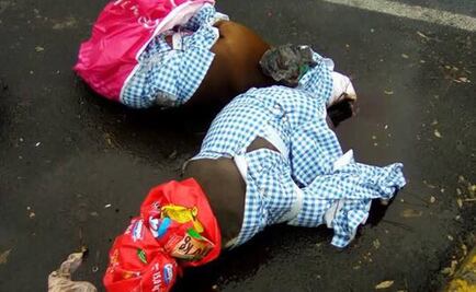 Diputados piden castigar a culpables de muerte de perros pitbull en Coyoacán