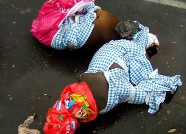 Diputados piden castigar a culpables de muerte de perros pitbull en Coyoacán