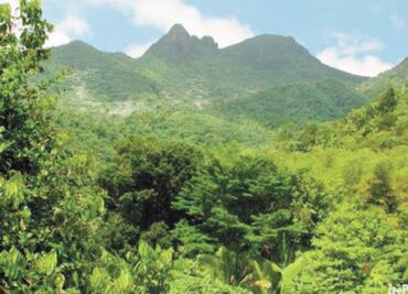 Posible colapso ambiental