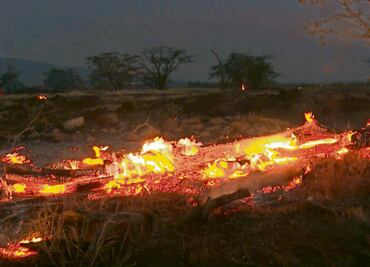 Feroces incendios en Hawái matan ahora a dos mexicanos; la canciller ofrece condolencias a familiares