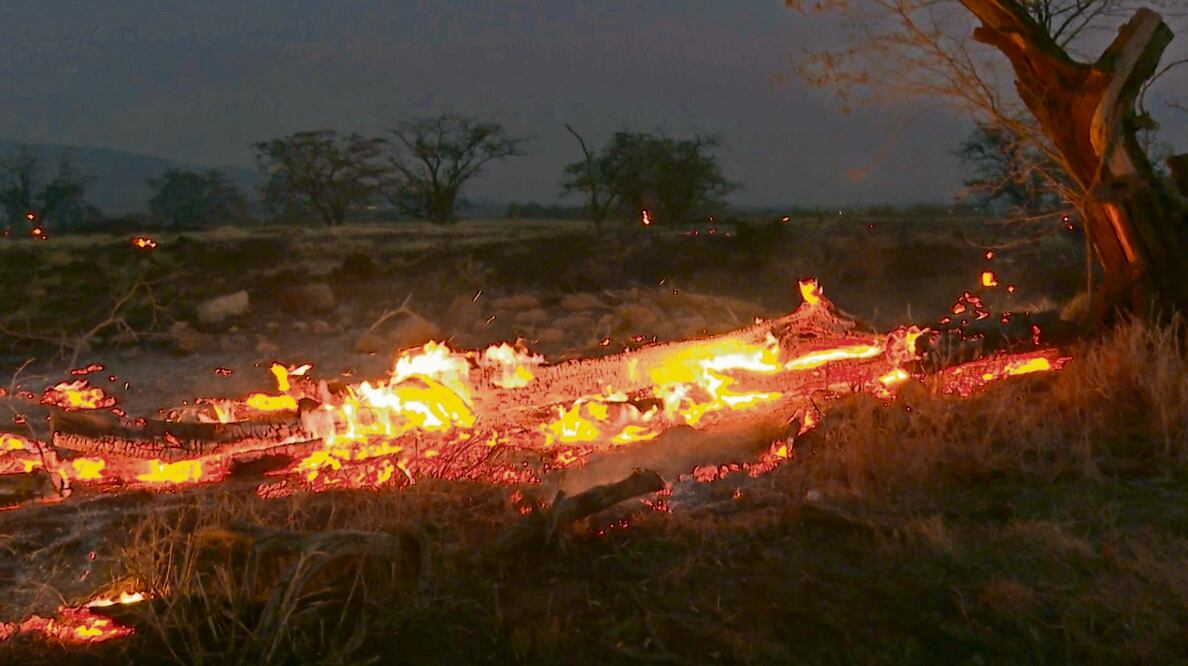 Sube a 101 la cifra de muertos por los incendios en Hawái