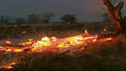 Feroces incendios en Hawái matan ahora a dos mexicanos; la canciller ofrece condolencias a familiares
