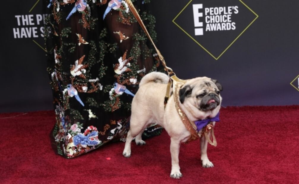 Los People's Choice Awards reciben a Luis Gerardo Méndez en su alfombra roja