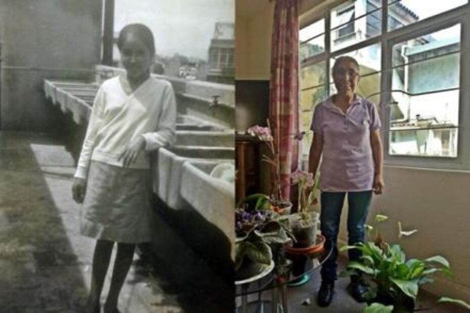 Nannies, the mother substitutes